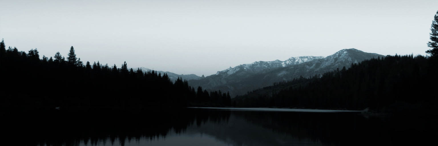 即时到账的绿色轰炸工具版